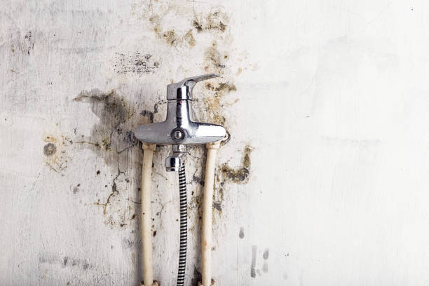 Best Residential Mold Remediation in Fort Stockton, TX