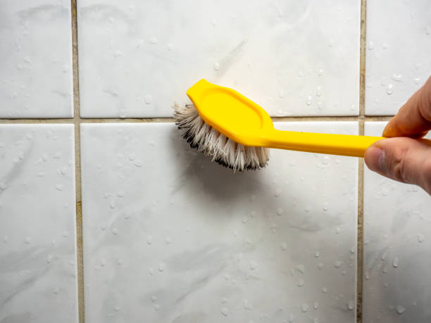 Best Preventive Mold Services in Fort Stockton, TX