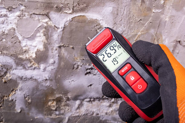 Best Bathroom Mold Remediation in Fort Stockton, TX