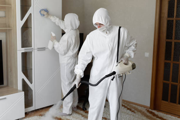 Best Attic Mold Remediation in Fort Stockton, TX