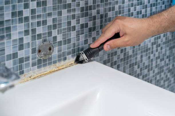 Best Basement Mold Remediation in Fort Stockton, TX