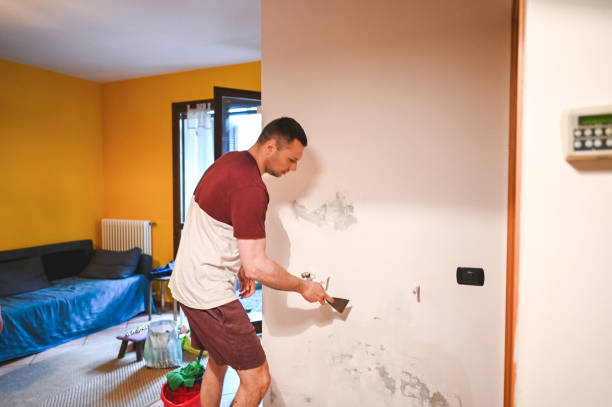Best Residential Mold Remediation in Fort Stockton, TX